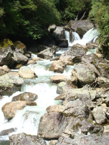 Doubtful Sound