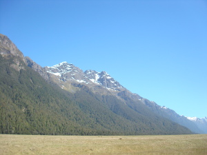 On the Road to Milford Sound