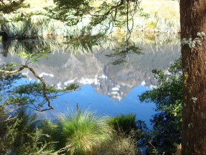 Mirror Lake Milford Sound