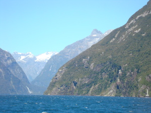 Milford Sound cruise