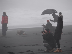 Black Sand Beach South Coast of Iceland GeoIceland tour