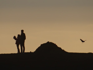 South Coast of Iceland selfie couple in shadow