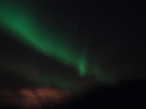 Northern Lights Iceland Reykjavik