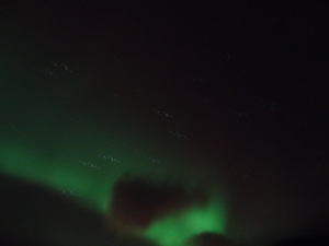 Northern Lights Iceland Reykjavik