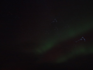 The Northern Lights Iceland Reykjavik