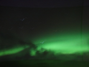 The Northern Lights Iceland Reykjavik