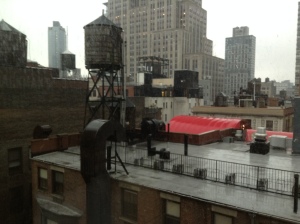 Hyatt Place NYC View