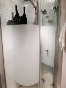 Studio Cabin NCL Shower