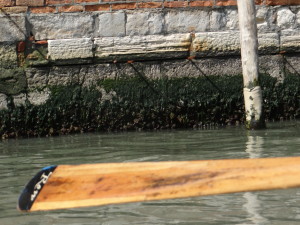 Row Venice oar