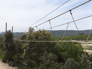 Les Comes Rope Bridge