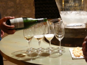 Llopart cellar tasting tour
