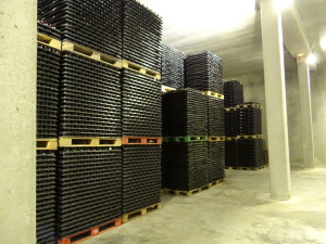 Cava Bertha cellar