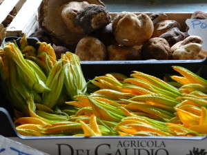 Florence market zucchini flower