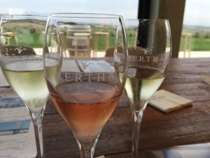 Cava Bertha Tasting