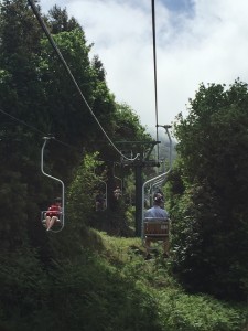 Riding through the trees in Anacapri