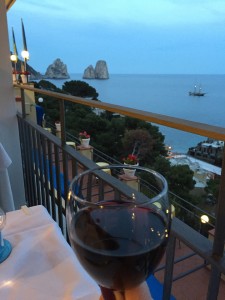 Hotel Weber Ambassador dinner view