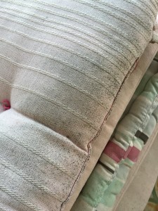 Moldy furniture cushions