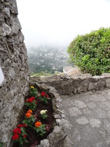 Monte Solar viewpoint