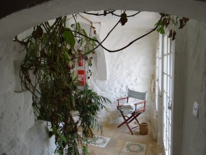 Plant Hazard Airbnb