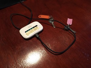 Portable Wifi device venice