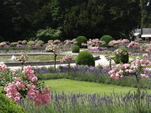 Queens garden Chateau de Chenonceau