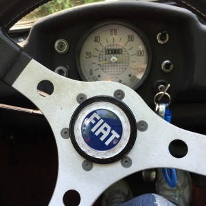 Fiat 500 Dash view