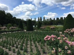 The Loire Valley view from the garden