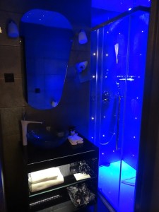 Platine Hotel Blue Bathroom Shower