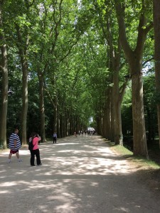 Chateau de Chenonceau