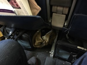 Carry On Cat Flying with Cats American Airlines
