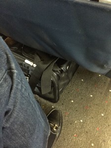 Flying with Cats as Carry On