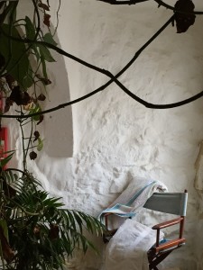 Dangerous vines Airbnb Gozo