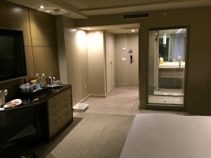 Hotel La Jolla King Room view