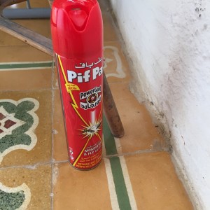Airbnb gozo house dirty Pif Paf