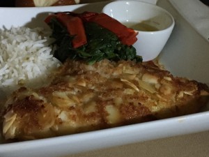 American Airlines Philadelphia to Manchester UK almond crusted chicken
