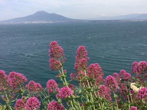 View From Sorrento