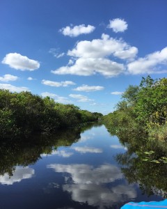 Florida Everglades Airboat cruise tour