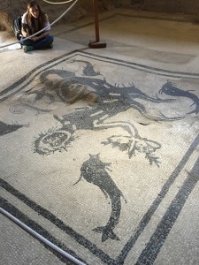 Herculaneum Bathhouse Mosaic Tile Floor