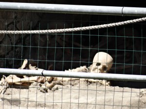 Herculaneum Skeletons