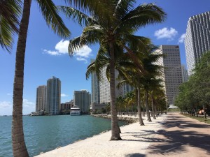 Miami Waterfront Solo Travel Dating the World