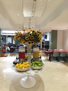 British Airways Lounge JFK Fruit Snacks