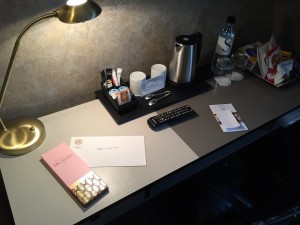 Hotel Therese desk