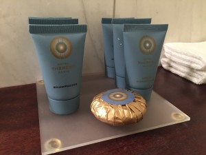Hotel Therese Toiletries