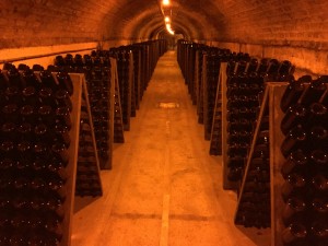 Moet & Chandon cellar tour