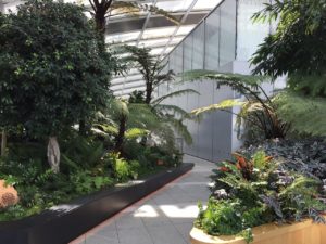 Sky Garden walking path