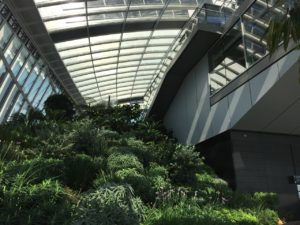 Sky Garden London gardens