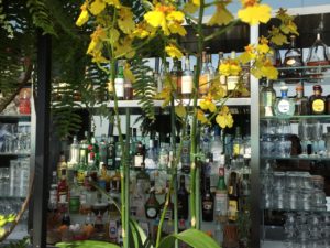 Sky Garden Bar