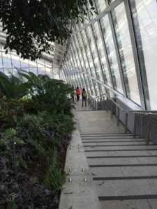 Sky Garden Stairs