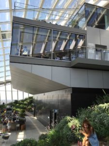 Sky Garden London restaurants