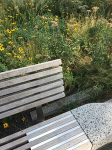 Visiting the High Line Park rail bench